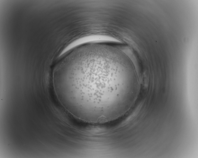 X0000089760597200707051834