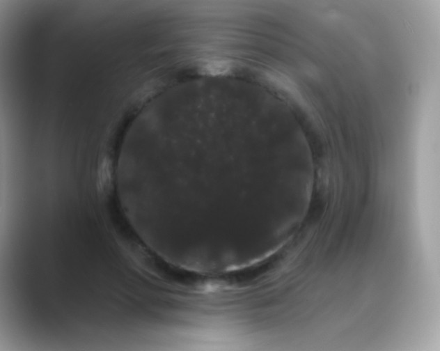 X0000089760598200707051834