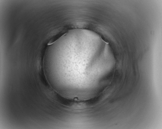 X0000089760599200707051834