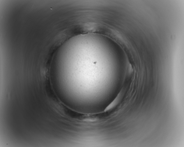 X0000089760601200707051834