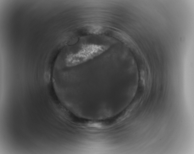 X0000089760602200707051834