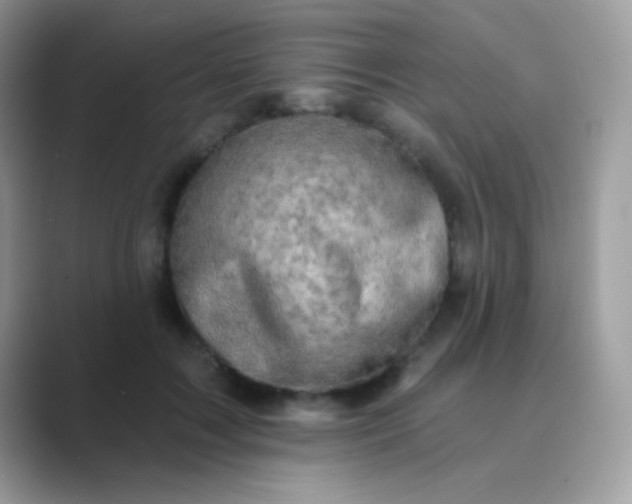 X0000089760603200707051834