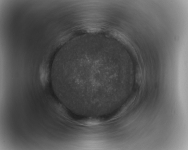 X0000089760604200707051834