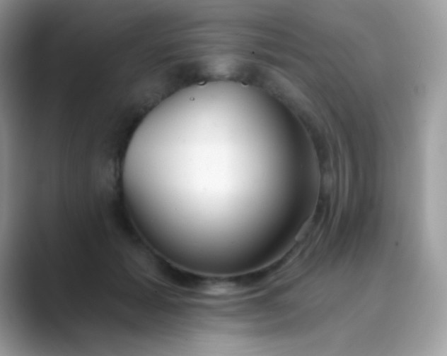 X0000089760605200707051834