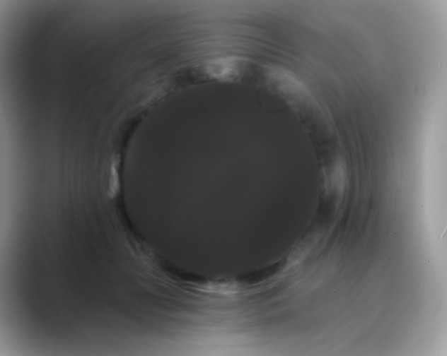 X0000089760606200707051834