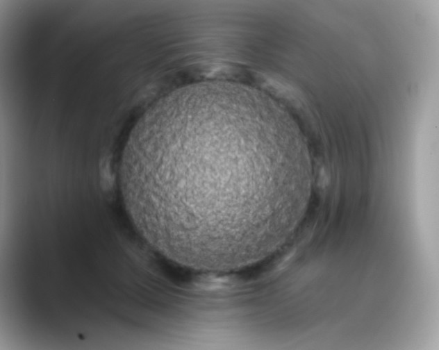 X0000089760607200707051834