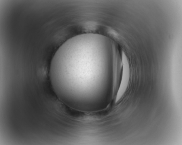 X0000089760608200707051834