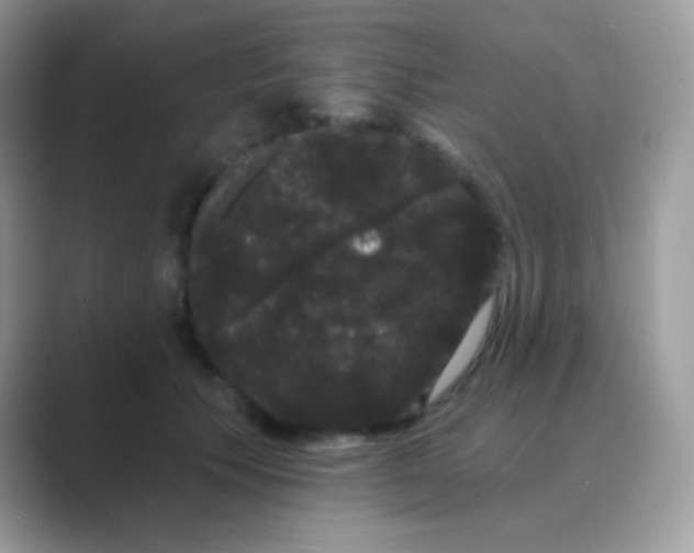 X0000089760609200707051834