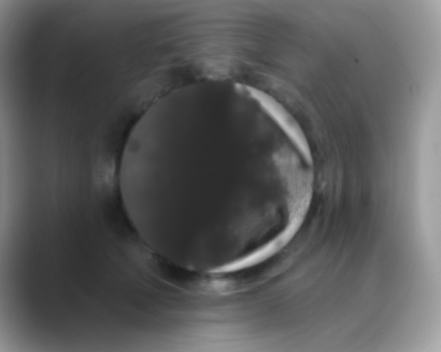 X0000089760610200707051834