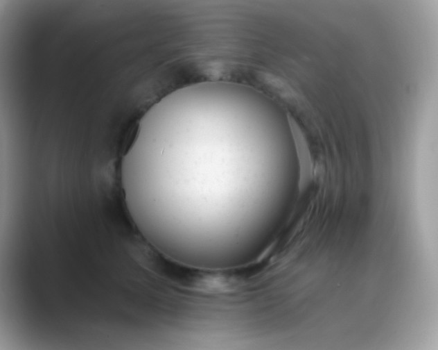 X0000089760611200707051834