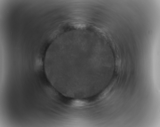 X0000089760614200707051834