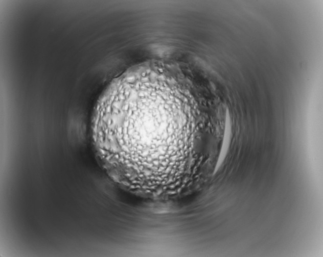 X0000089760615200707051834