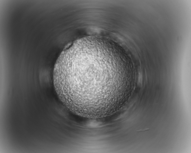 X0000089760616200707051834