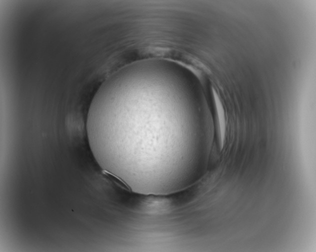 X0000089760617200707051834