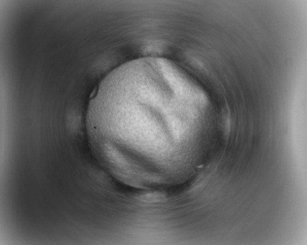 X0000089760619200707051834