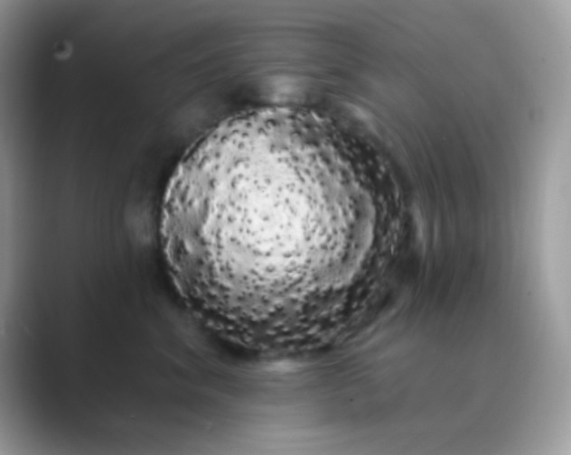 X0000089760620200707051834