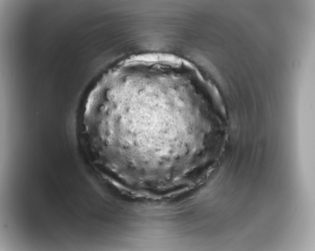 X0000089760626200707051834