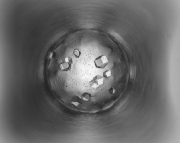 X0000089760627200707051834