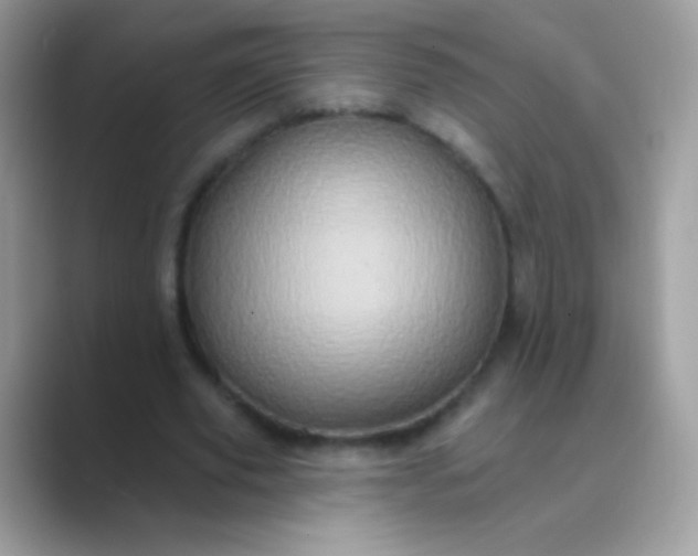 X0000089760629200707051834