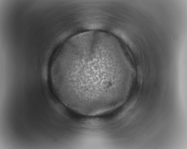 X0000089760631200707051834