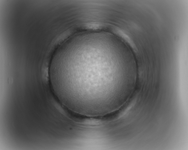 X0000089760633200707051834