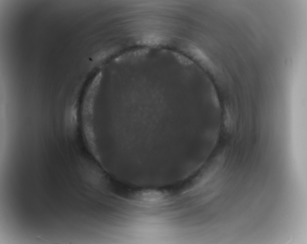 X0000089760636200707051834