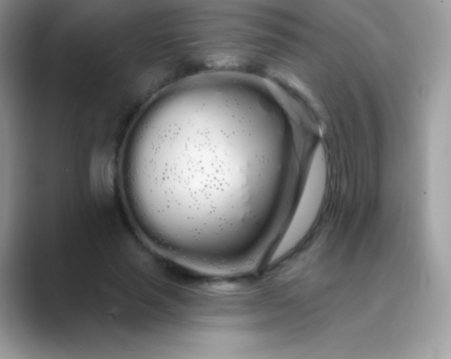 X0000089760637200707051834