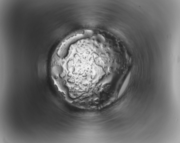 X0000089760638200707051834