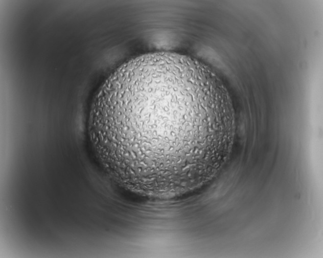 X0000089760639200707051834