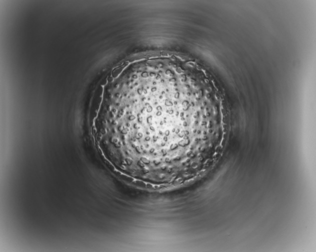 X0000089760640200707051834