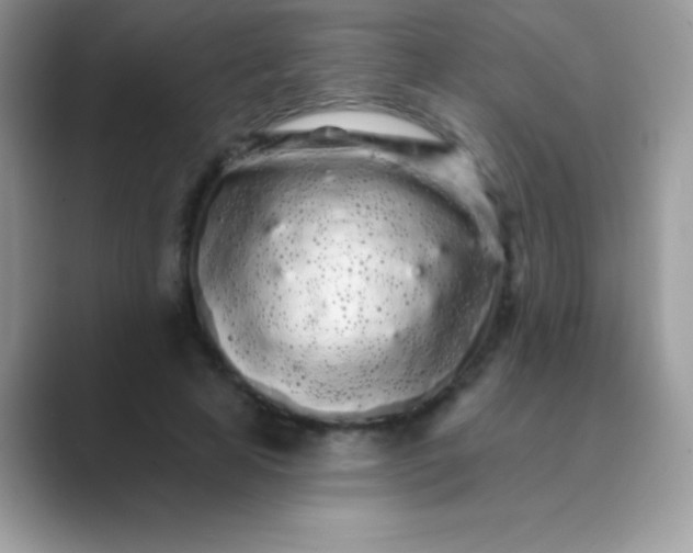 X0000089760641200707051834