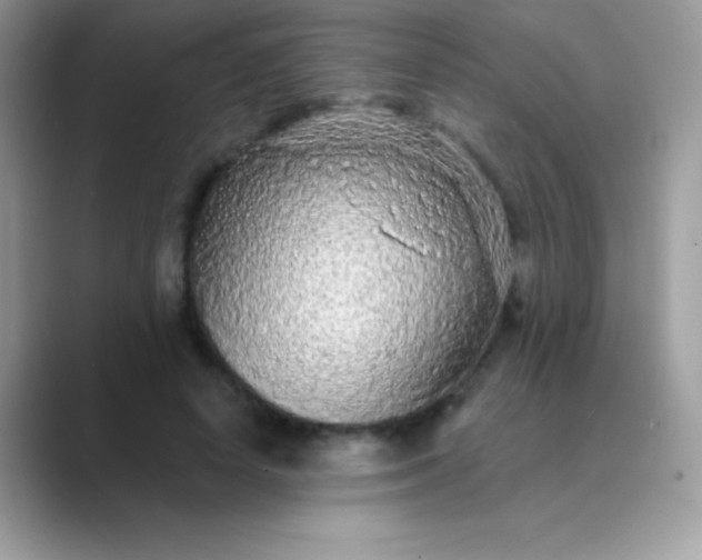 X0000089760642200707051834