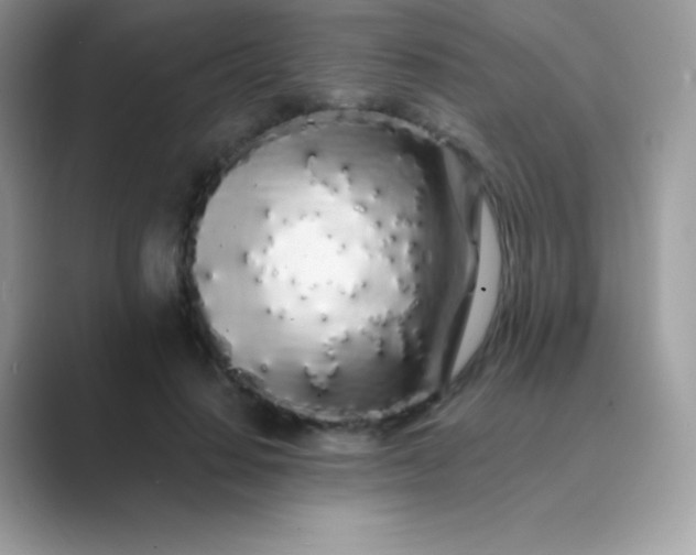 X0000089760644200707051834