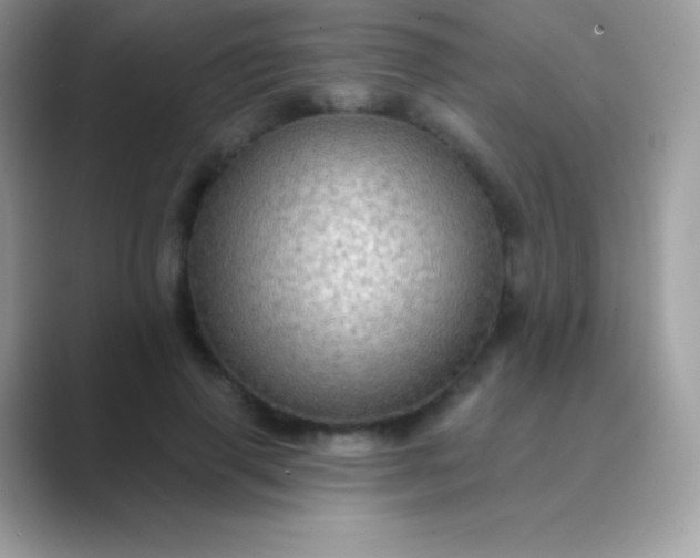 X0000089760645200707051834