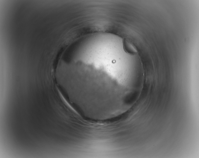 X0000089760647200707051834