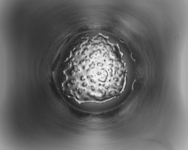 X0000089760648200707051834