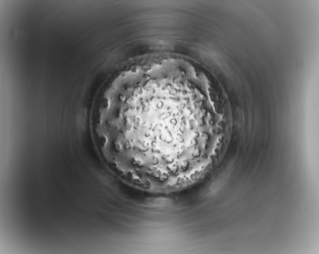 X0000089760649200707051834