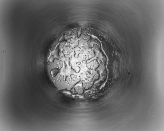 X0000089760650200707051834