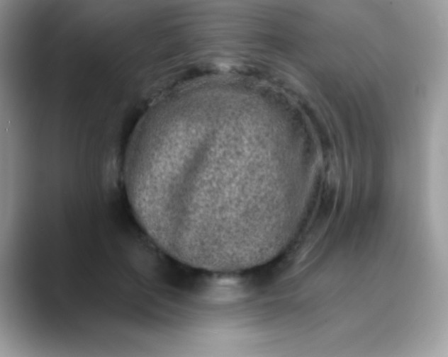 X0000089760651200707051834