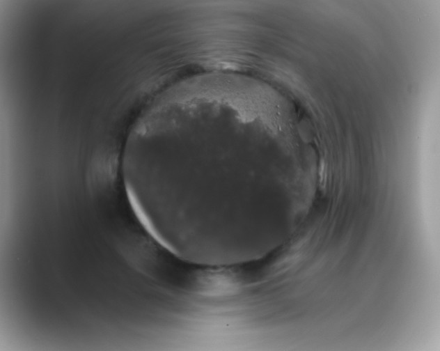 X0000089760652200707051834