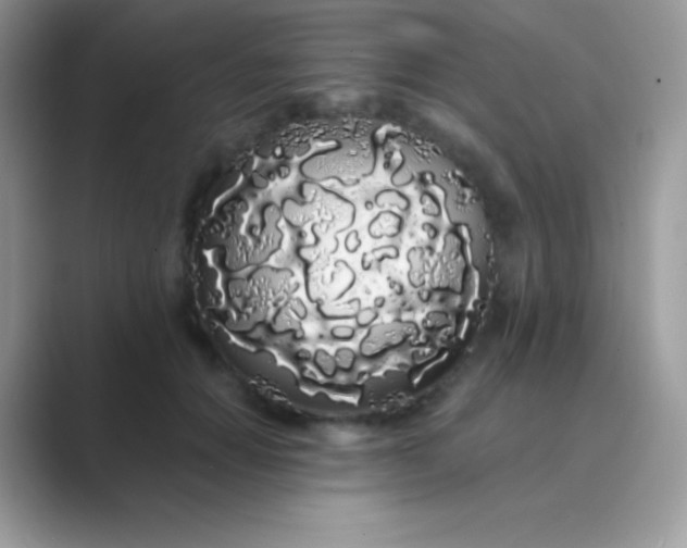 X0000089760654200707051834