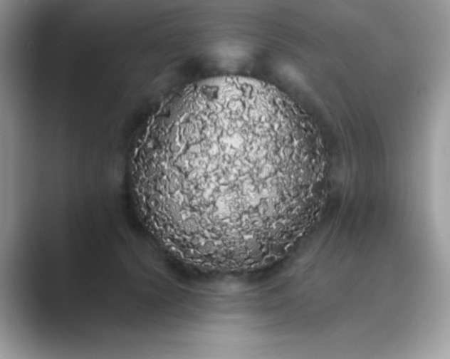 X0000089760656200707051834