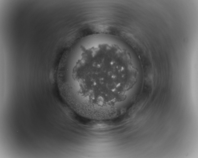 X0000089760658200707051834