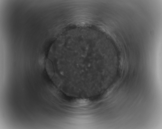 X0000089760659200707051834