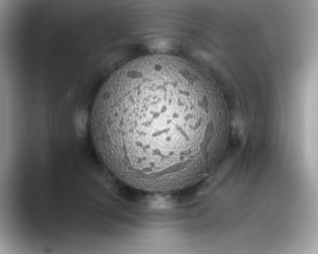 X0000089760660200707051834