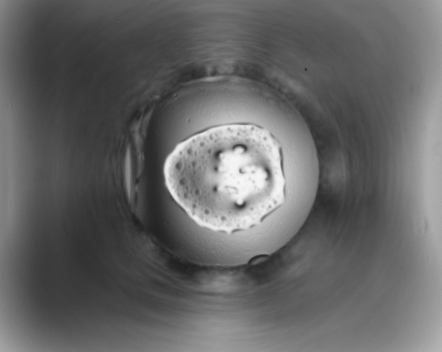 X0000089760661200707051834