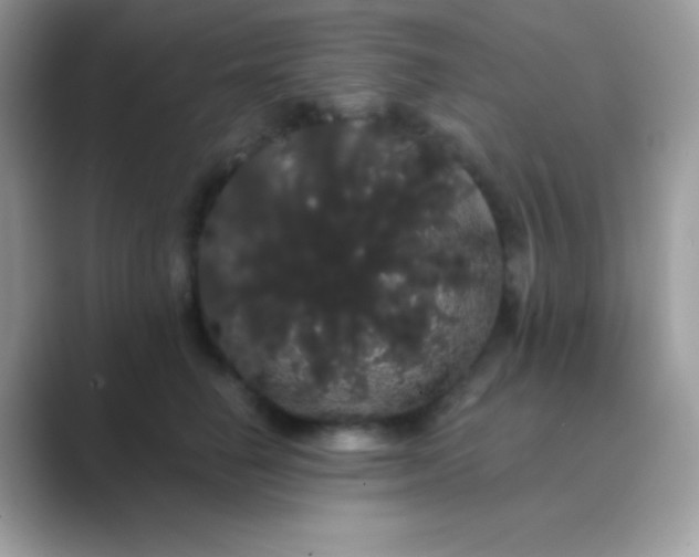 X0000089760662200707051834