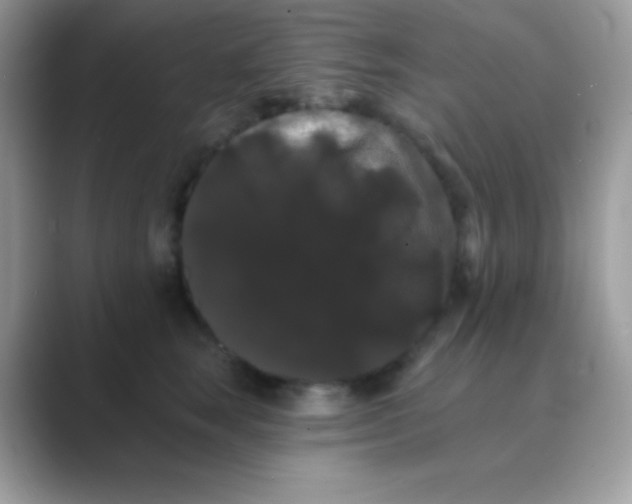 X0000089760663200707051834