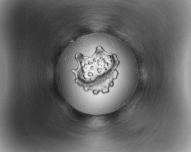 X0000089760664200707051834