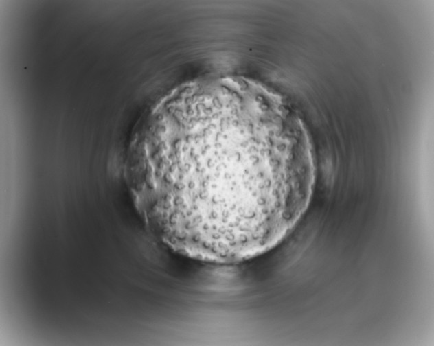 X0000089760665200707051834